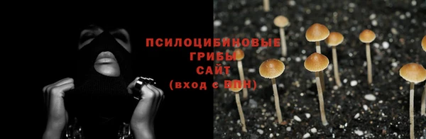 марихуана Пролетарск