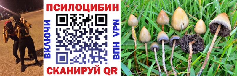 Псилоцибиновые грибы мухоморы  mega ONION  Туран 