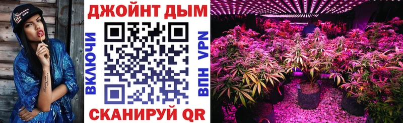 Шишки марихуана сатива  Туран 